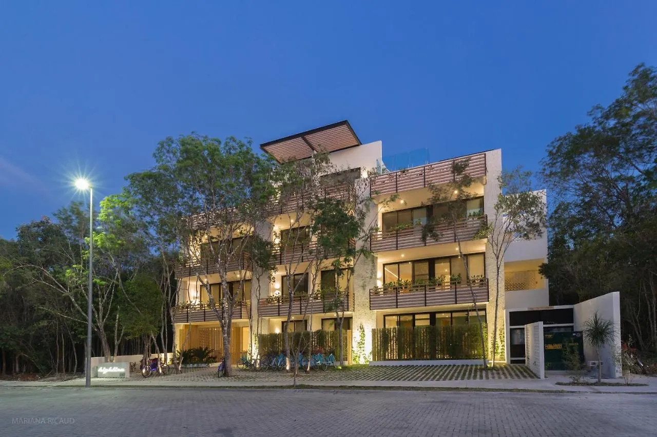 Infinity Suites Tulum 0*,